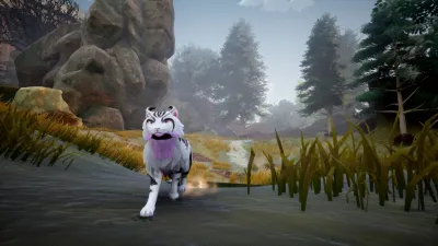 Warrior Cats: Clans of the Forest 1
